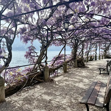 Belle Ile Park